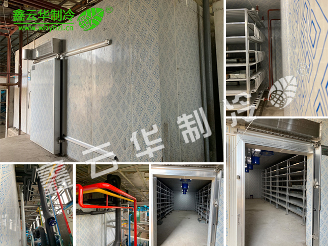 安慶仙桃農業速凍庫項目展示
